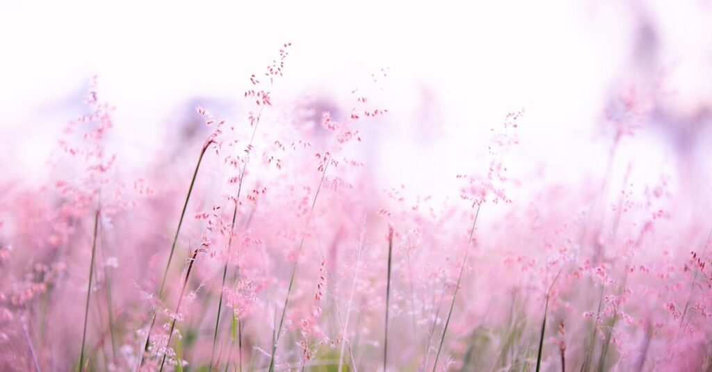 Delicate pink wildflowers softly swaying in a sunlit field, creating a tranquil and dreamy atmosphere.